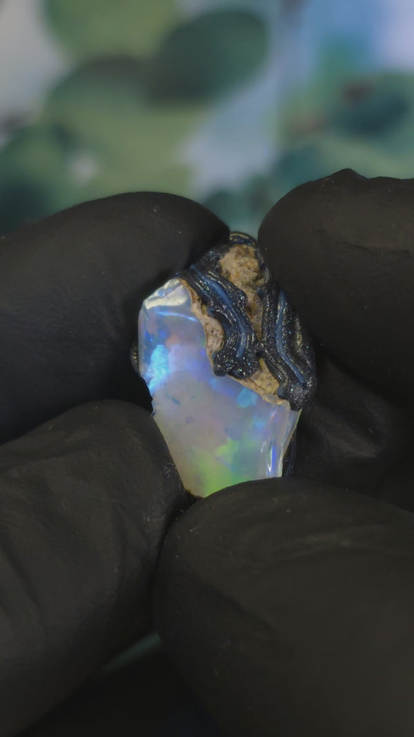 Video: raw uncut Ethiopian Welo opal pendant. Colour: blue, teal, with green hints, moderate. Body: light blue. Held in a gloved hand against a green background.